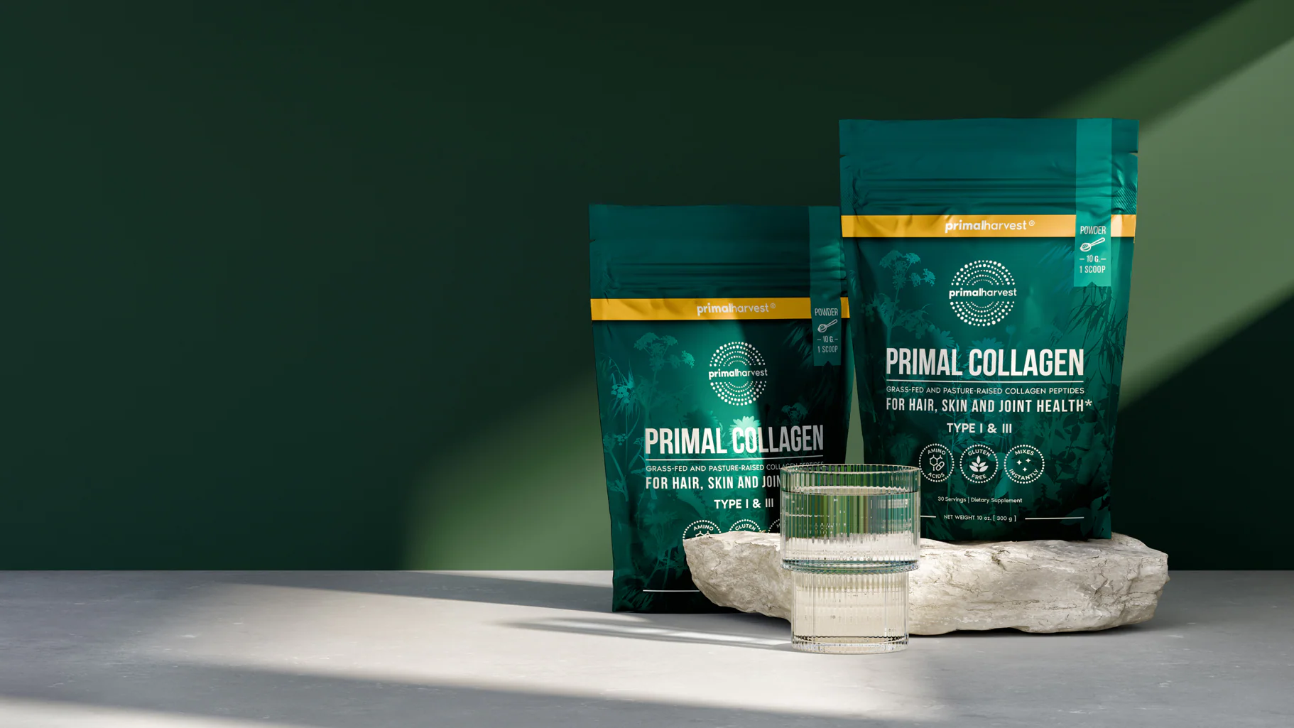 Fuel Your Full Potential