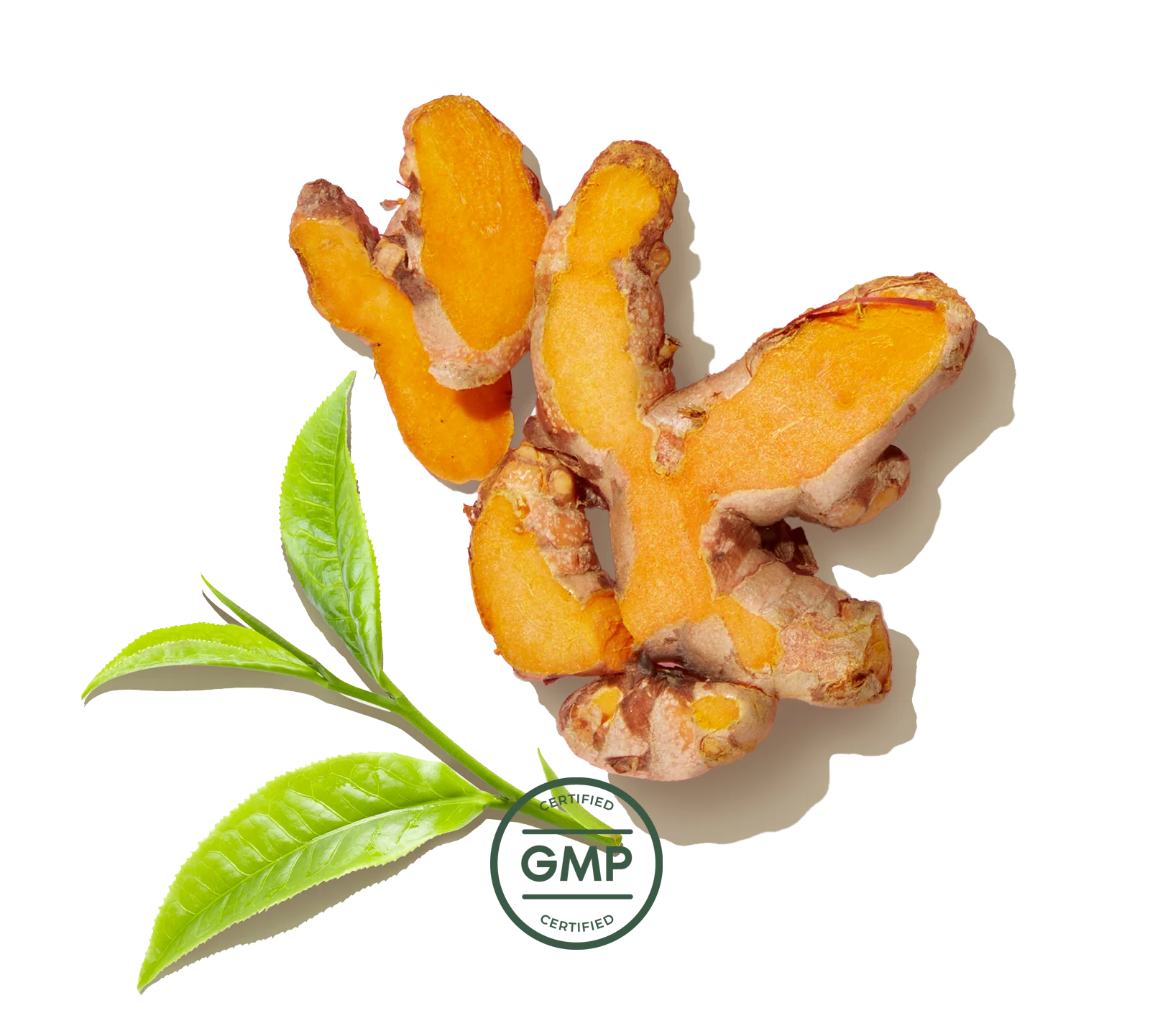 Primal Flex - Image 8