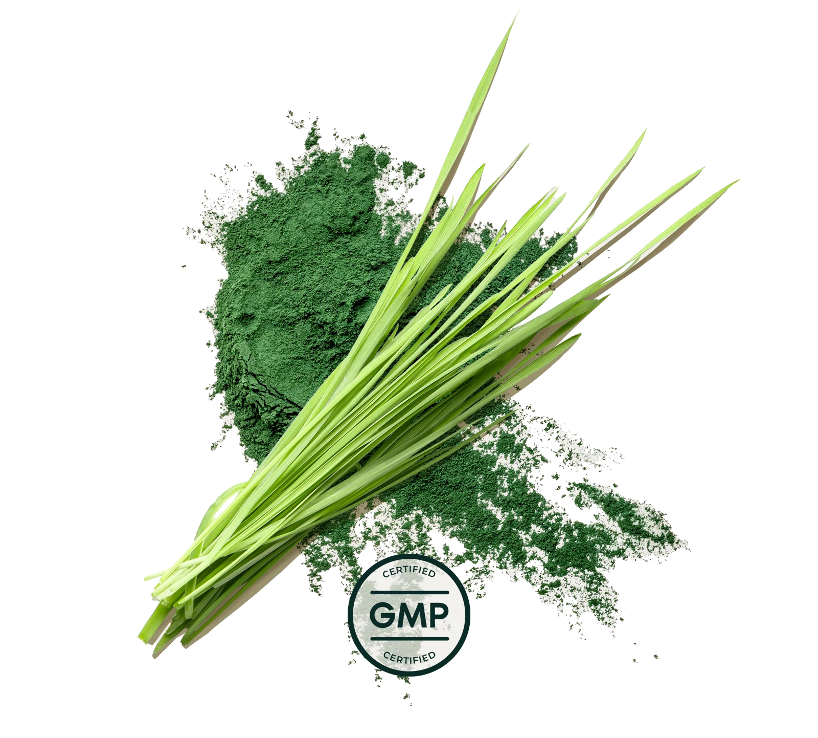 Primal Greens - Image 4