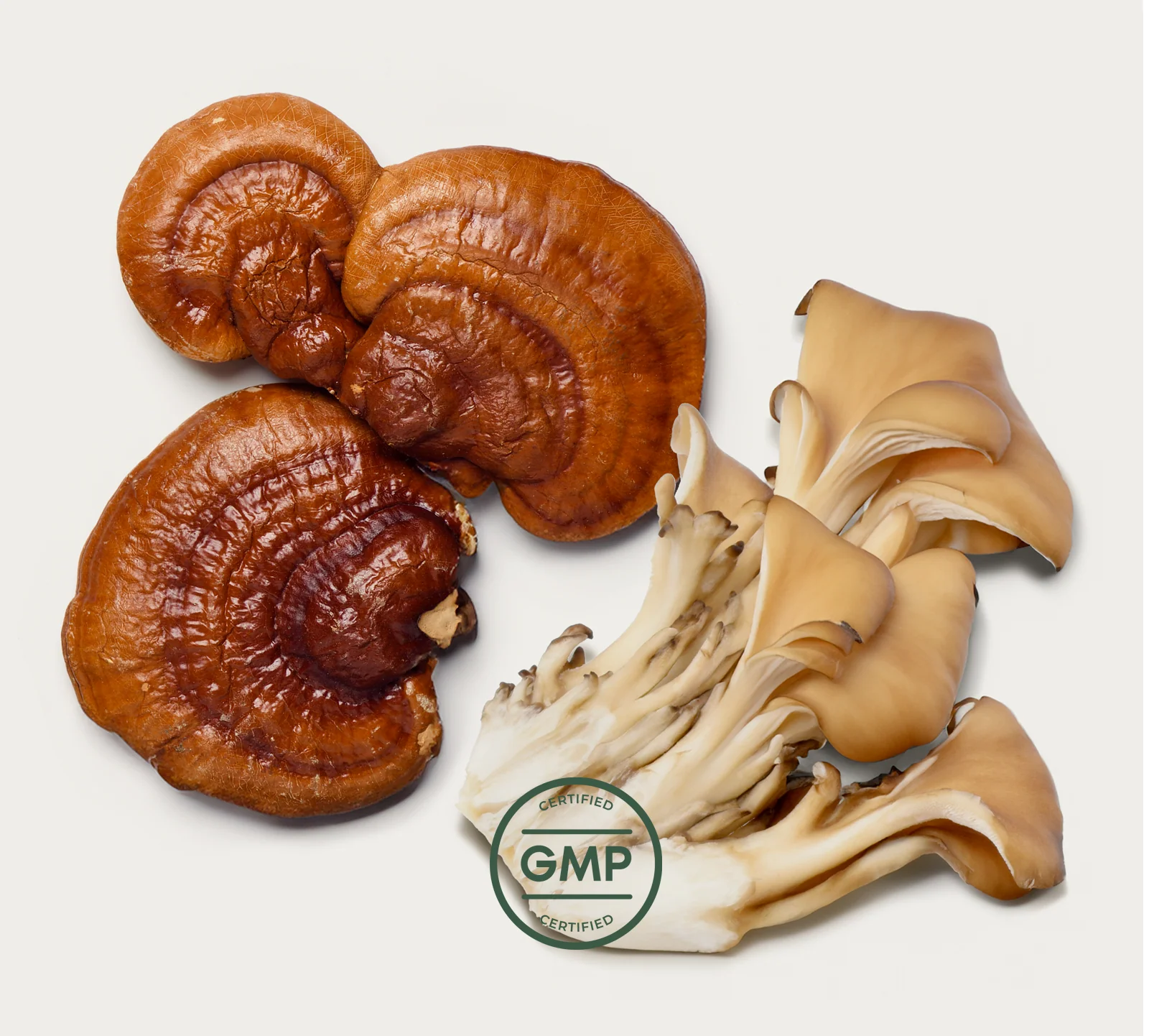 Primal Mind Fuel - Image 4