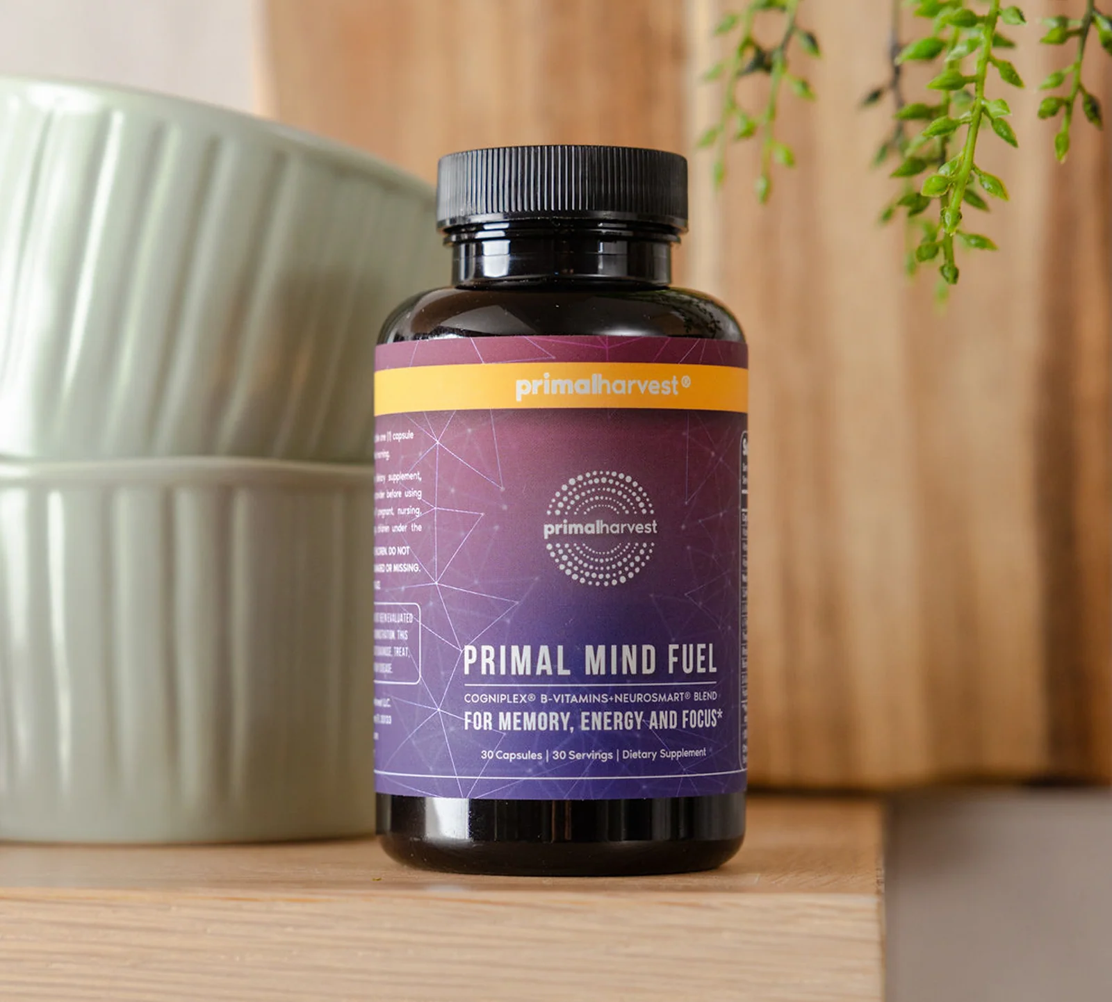 Primal Mind Fuel - Image 5