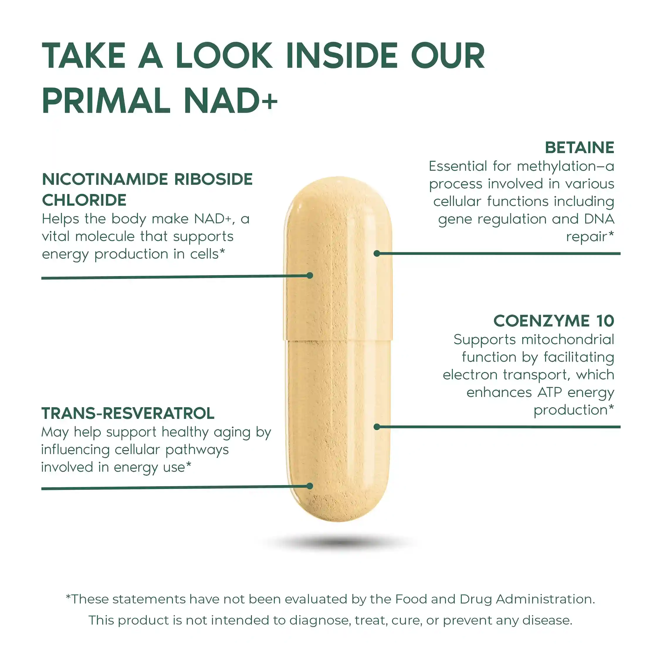 Primal NAD+ - Image 3