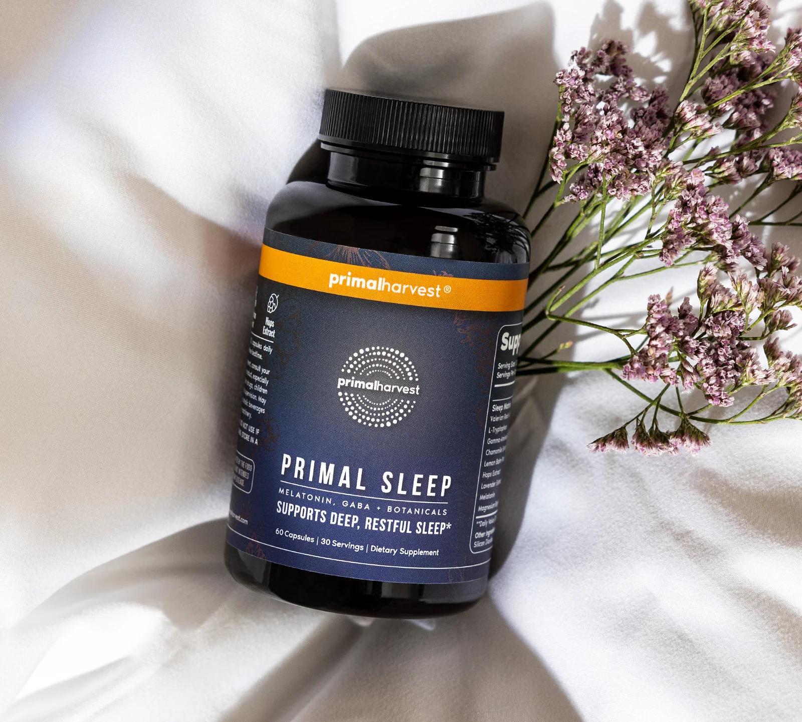 Primal Sleep - Image 5