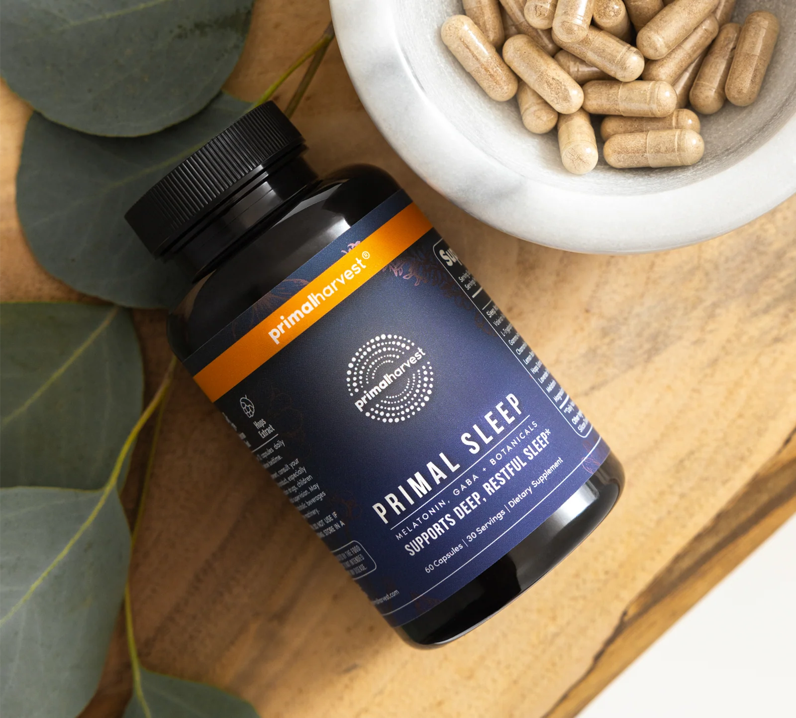 Primal Sleep - Image 6