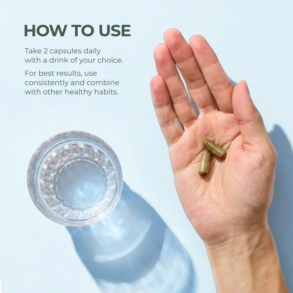 Primal Vision - Image 3