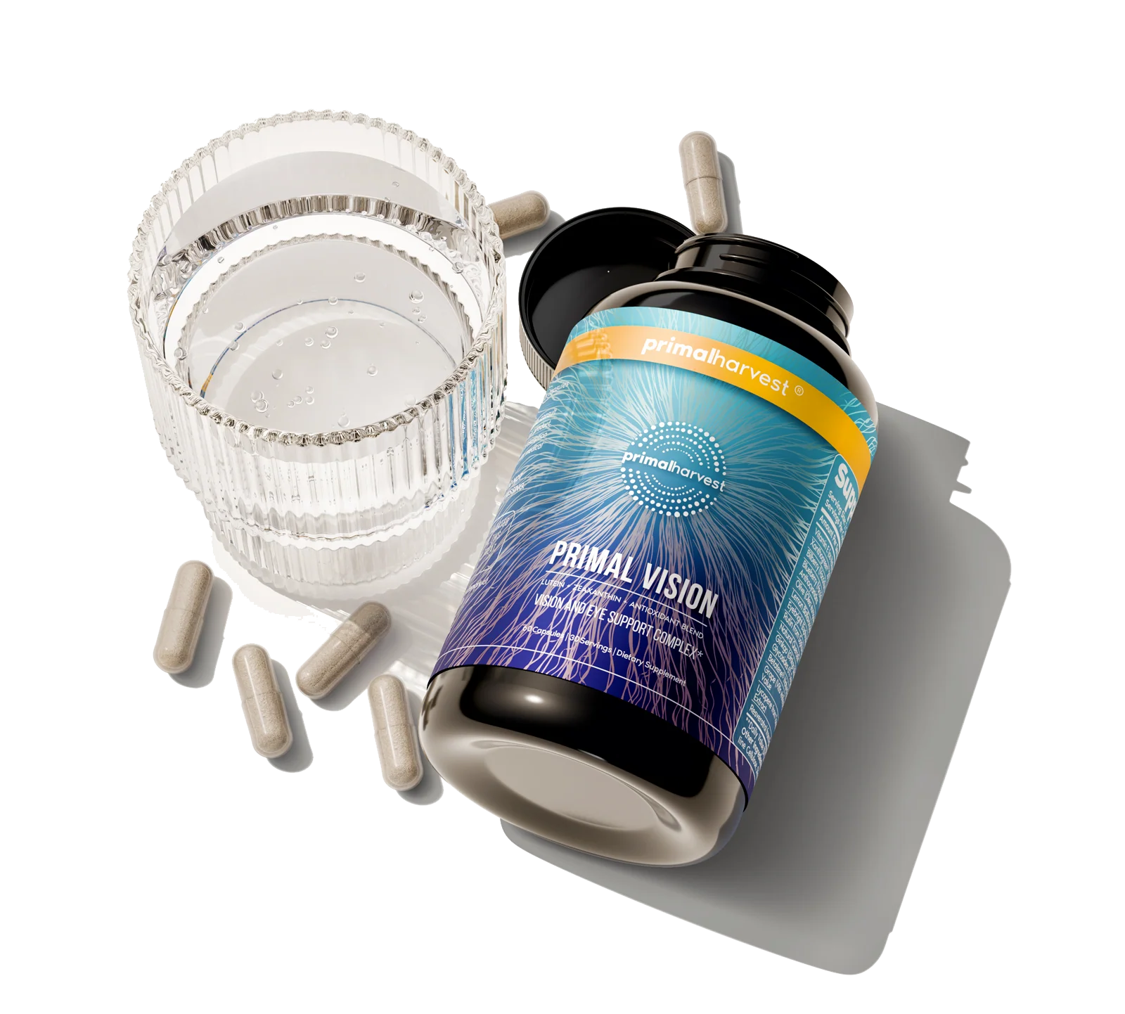 Primal Vision - Image 4