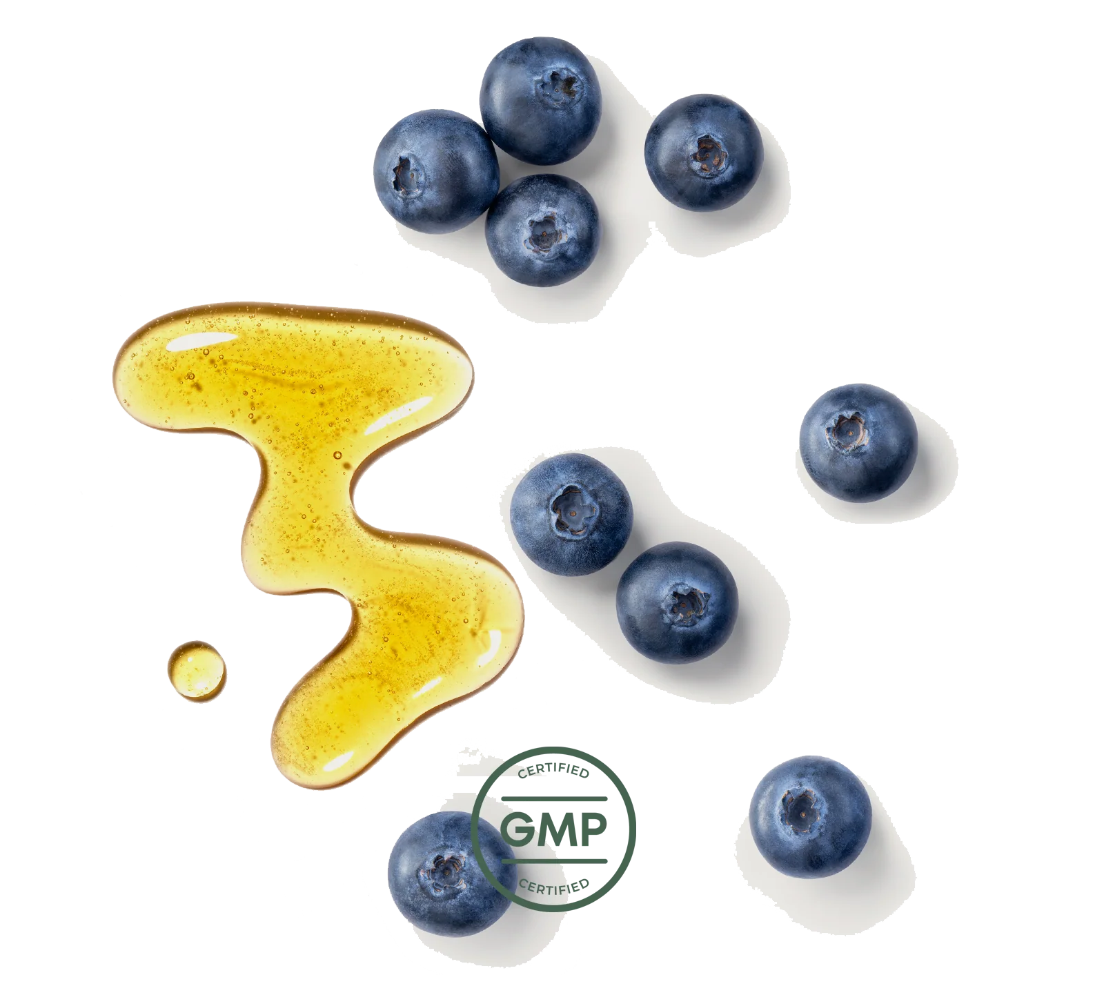 Primal Vision - Image 5