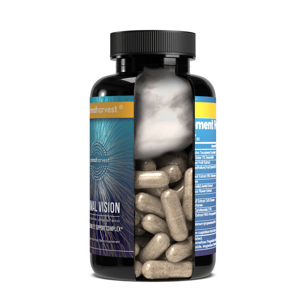 Primal Vision - Image 7