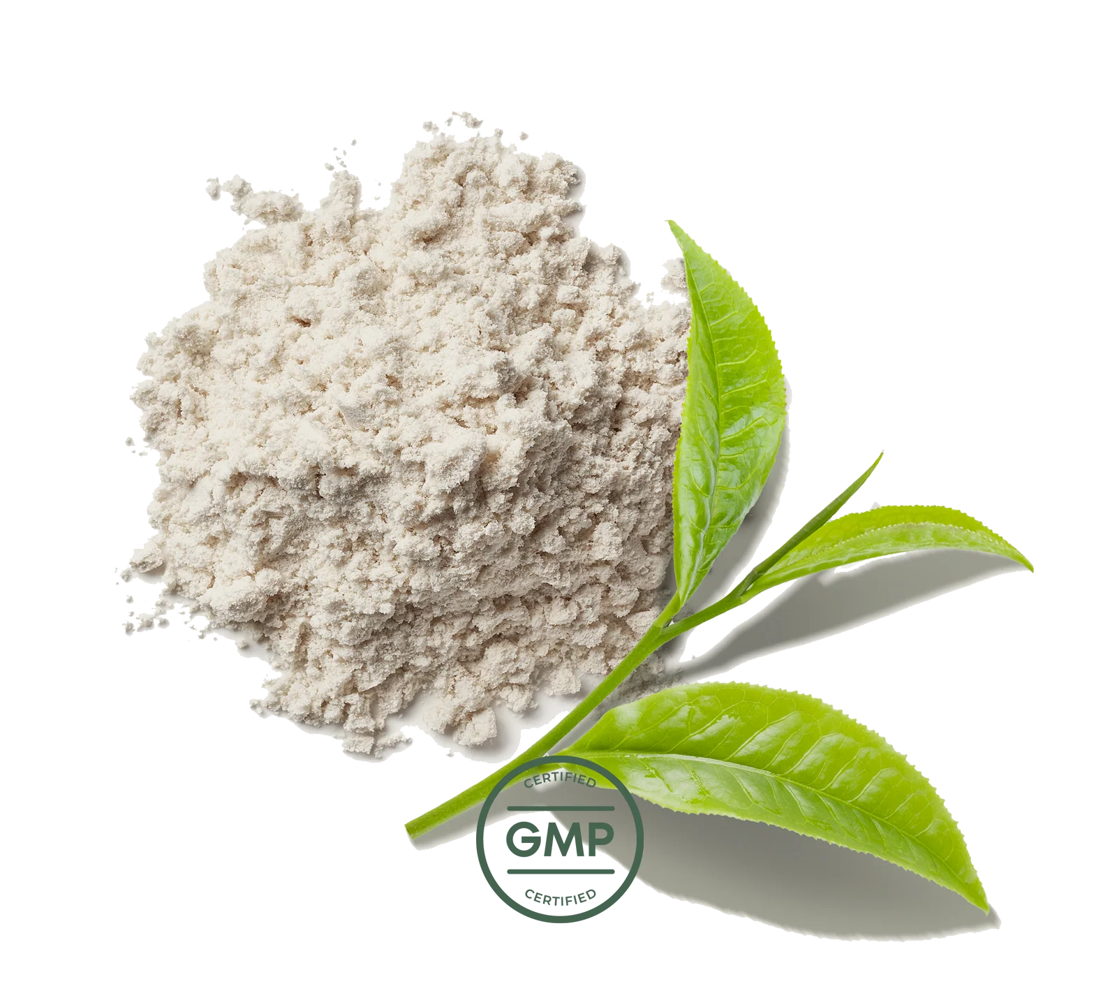 Primal Women+ - Image 6